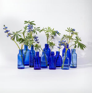 Vase - Blue Bottle Bundle