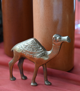 Brass - Camel